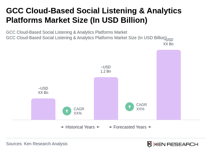 GCC Cloud-Based Social Listening & Analytics Platforms Market Size